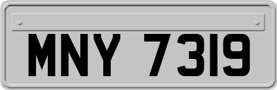 MNY7319