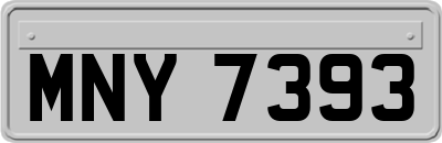 MNY7393