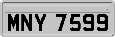 MNY7599