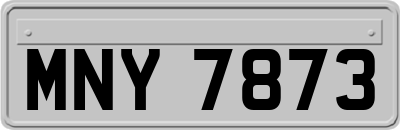 MNY7873