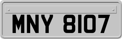 MNY8107