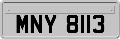 MNY8113