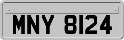 MNY8124