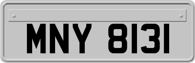 MNY8131