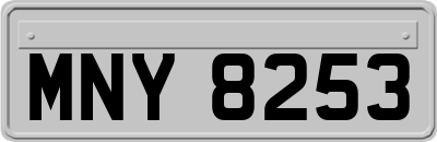 MNY8253