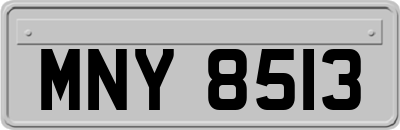 MNY8513