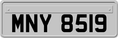 MNY8519