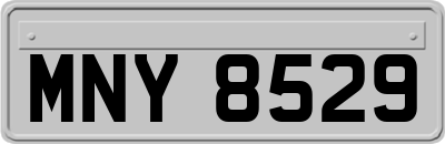 MNY8529