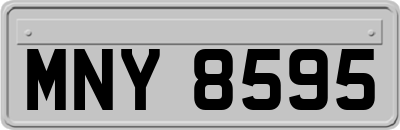 MNY8595