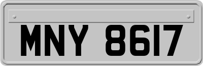 MNY8617