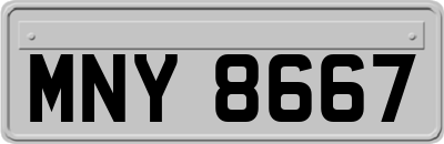 MNY8667