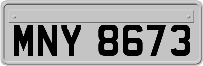 MNY8673