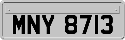 MNY8713