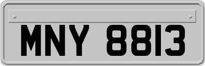 MNY8813