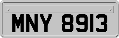 MNY8913