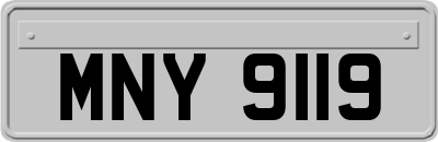 MNY9119