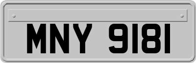 MNY9181