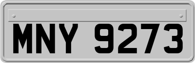 MNY9273
