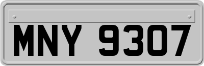 MNY9307