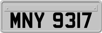 MNY9317