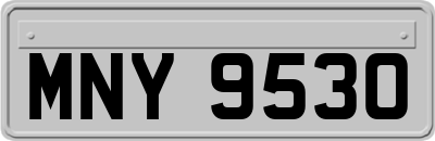 MNY9530