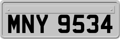 MNY9534