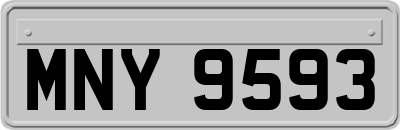 MNY9593