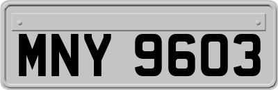 MNY9603