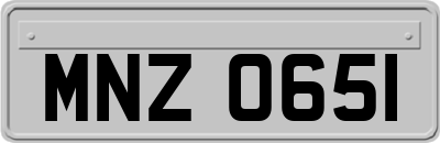 MNZ0651