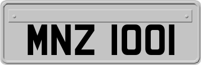 MNZ1001