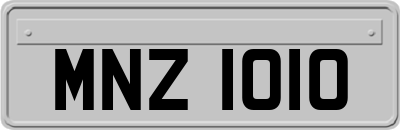 MNZ1010