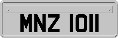 MNZ1011
