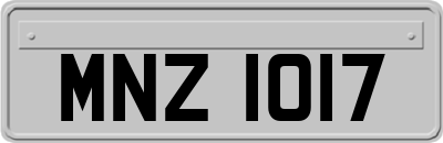 MNZ1017