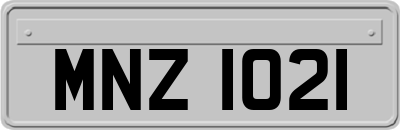 MNZ1021