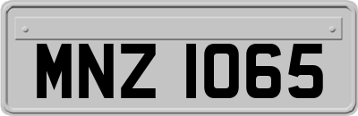 MNZ1065