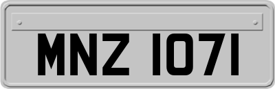 MNZ1071