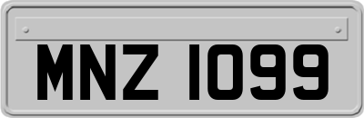 MNZ1099