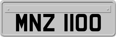 MNZ1100