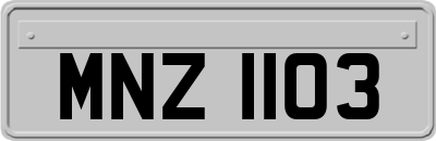 MNZ1103