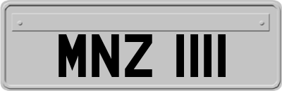 MNZ1111