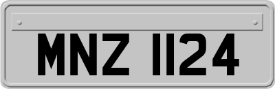 MNZ1124
