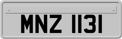MNZ1131