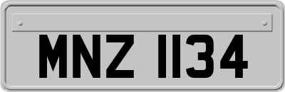 MNZ1134