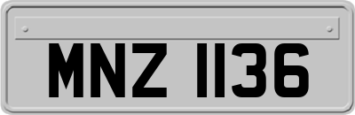 MNZ1136