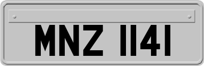 MNZ1141