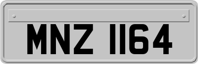 MNZ1164
