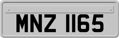 MNZ1165