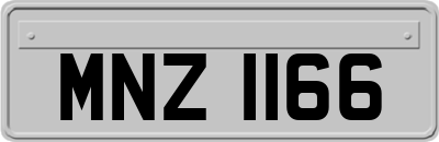 MNZ1166