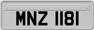 MNZ1181