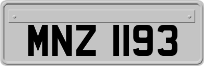 MNZ1193